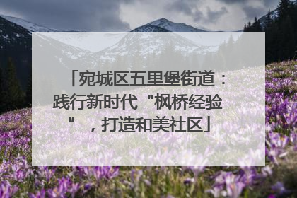 宛城区五里堡街道：践行新时代“枫桥经验”，打造和美社区