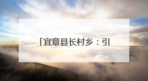 宜章县长村乡：引进玉竹种植 激活乡村振兴新动能
