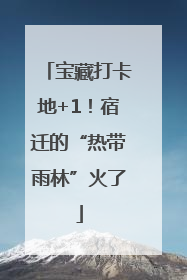 宝藏打卡地+1！宿迁的“热带雨林”火了