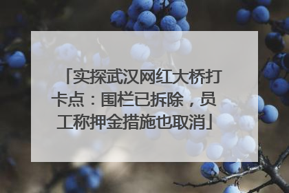 实探武汉网红大桥打卡点：围栏已拆除，员工称押金措施也取消