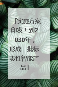 实施方案印发！到2030年，形成一批标志性智能产品