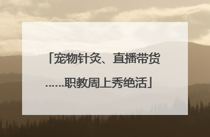 宠物针灸、直播带货……职教周上秀绝活