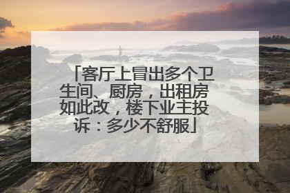 客厅上冒出多个卫生间、厨房，出租房如此改，楼下业主投诉：多少不舒服