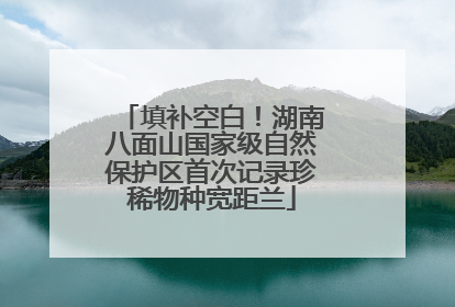 填补空白！湖南八面山国家级自然保护区首次记录珍稀物种宽距兰