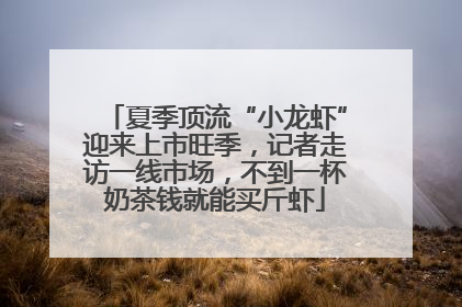 夏季顶流“小龙虾”迎来上市旺季，记者走访一线市场，不到一杯奶茶钱就能买斤虾