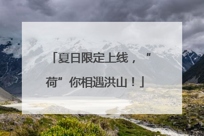 夏日限定上线，“荷”你相遇洪山！