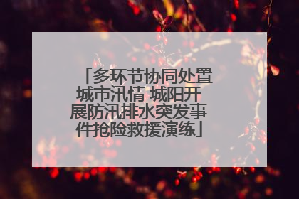 多环节协同处置城市汛情 城阳开展防汛排水突发事件抢险救援演练