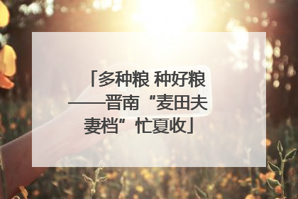 多种粮 种好粮——晋南“麦田夫妻档”忙夏收