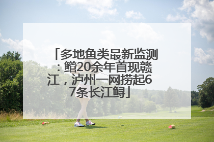多地鱼类最新监测：鳤20余年首现赣江，泸州一网捞起67条长江鲟