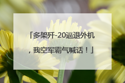 多架歼-20逼退外机，我空军霸气喊话！