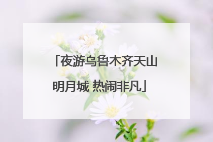 夜游乌鲁木齐天山明月城 热闹非凡
