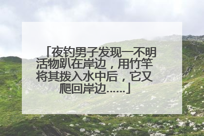 夜钓男子发现一不明活物趴在岸边，用竹竿将其拨入水中后，它又爬回岸边……