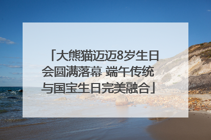 大熊猫迈迈8岁生日会圆满落幕 端午传统与国宝生日完美融合