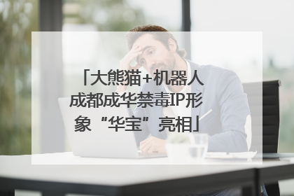 大熊猫+机器人 成都成华禁毒IP形象“华宝”亮相