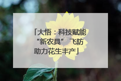 大悟：科技赋能“新农具” 飞防助力花生丰产