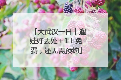 大武汉一日︱遛娃好去处＋1！免费，还无需预约