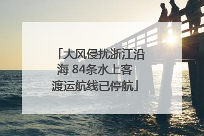 大风侵扰浙江沿海 84条水上客渡运航线已停航