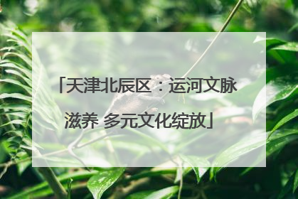 天津北辰区：运河文脉滋养 多元文化绽放
