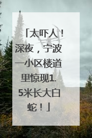太吓人！深夜，宁波一小区楼道里惊现1.5米长大白蛇！