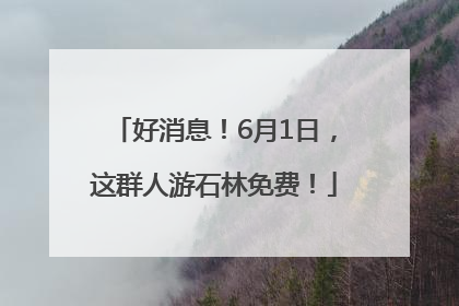 好消息！6月1日，这群人游石林免费！
