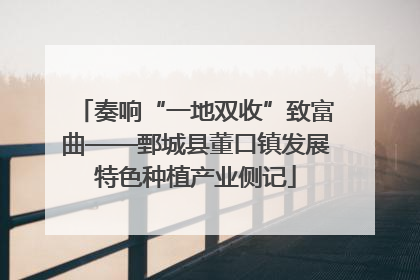 奏响“一地双收”致富曲——鄄城县董口镇发展特色种植产业侧记