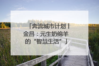 奔流城市计划丨金昌：元生奶绵羊的“智慧生活”