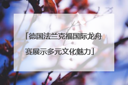 德国法兰克福国际龙舟赛展示多元文化魅力