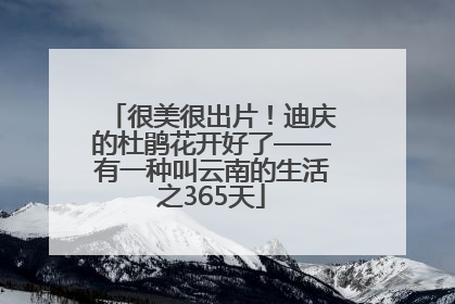 很美很出片！迪庆的杜鹃花开好了——有一种叫云南的生活之365天