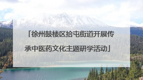 徐州鼓楼区拾屯街道开展传承中医药文化主题研学活动