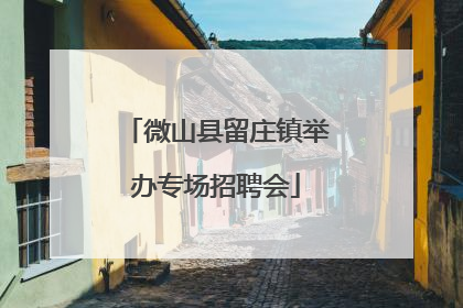 微山县留庄镇举办专场招聘会
