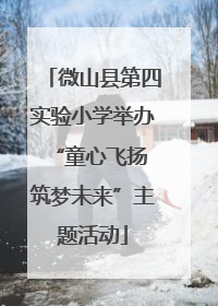 微山县第四实验小学举办“童心飞扬 筑梦未来”主题活动