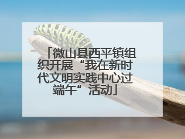 微山县西平镇组织开展“我在新时代文明实践中心过端午”活动