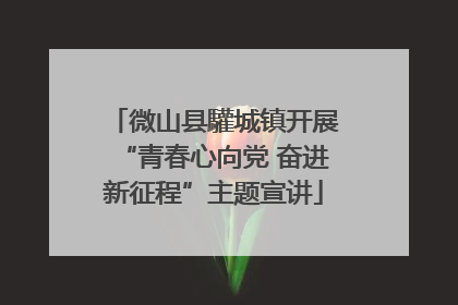 微山县驩城镇开展“青春心向党 奋进新征程”主题宣讲