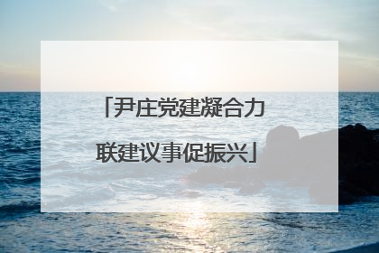 尹庄党建凝合力 联建议事促振兴