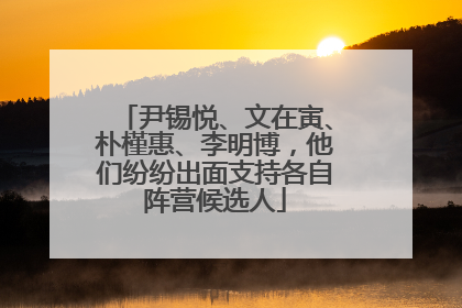 尹锡悦、文在寅、朴槿惠、李明博，他们纷纷出面支持各自阵营候选人
