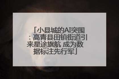 小县城的AI突围：高青县田镇街道引来星途旗航 成为数据标注先行军