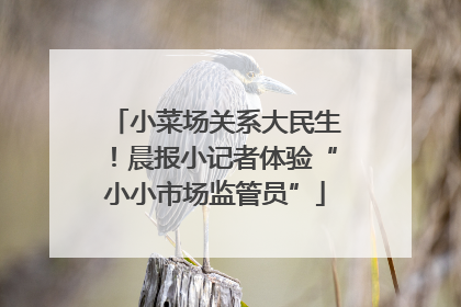 小菜场关系大民生！晨报小记者体验“小小市场监管员”