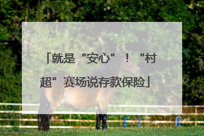 就是“安心”！“村超”赛场说存款保险