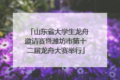 山东省大学生龙舟邀请赛暨潍坊市第十二届龙舟大赛举行