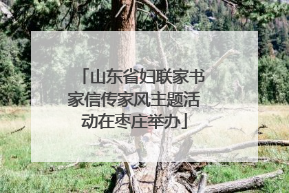 山东省妇联家书家信传家风主题活动在枣庄举办