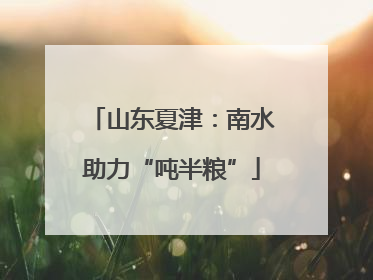 山东夏津：南水助力“吨半粮”