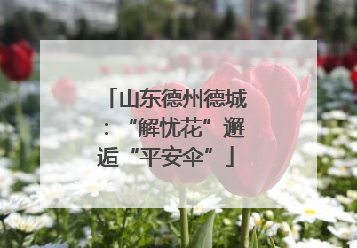 山东德州德城：“解忧花”邂逅“平安伞”