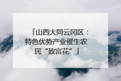 山西大同云冈区：特色优势产业催生农民“致富花”