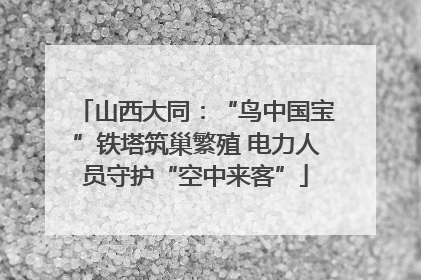 山西大同：“鸟中国宝”铁塔筑巢繁殖 电力人员守护“空中来客”