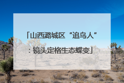 山西潞城区“追鸟人”：镜头定格生态蝶变