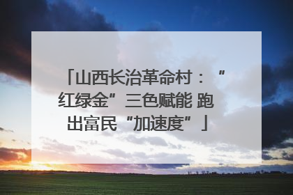 山西长治革命村：“红绿金”三色赋能 跑出富民“加速度”