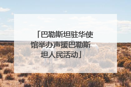 巴勒斯坦驻华使馆举办声援巴勒斯坦人民活动