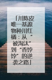 川陈皮唯一基源物种川红橘：从“被淘汰”到“香饽饽”的逆袭之路