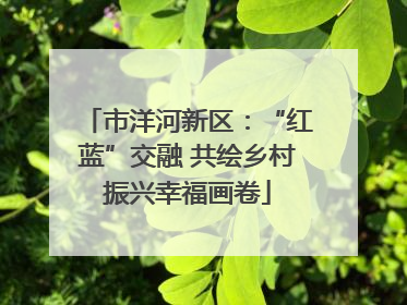 市洋河新区：“红蓝”交融 共绘乡村振兴幸福画卷
