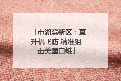市湖滨新区：直升机飞防 精准狙击美国白蛾
